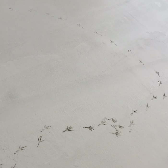 concrete footprints